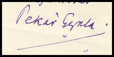 1932 Pekár Gyula (1866-1937) író, újságíró, országgyűlési képviselő, a Petőfi Társaság elnökének saj...
