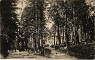 1912 Tusnádfürdő, Baile Tusnad; Cukrászda. Dragomán S. J. kiadása / confectionery shop