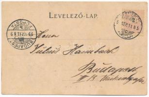 1899 (Vorläufer) Beszterce, Bistritz, Bistrita; Beszterczei Kör, Református templom. M. Binder kiadá...