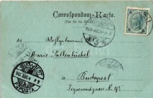 1900 Passail, Nacht. Jacob Reisinger / night