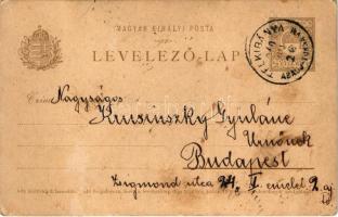 1910 Telkibánya (Abaúj-Torna vm.), családi kirándulás szamár szekéren. photo (Rb)