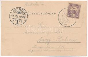 1901 Kiskapus, Kis-Kapus, Kleinkopisch, Copsa Mica; Vasútállomás. Guggenberger Frigyes kiadása / Bah...