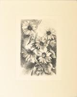 Gy. Molnár István (1933-2010): Napraforgók. Rézkarc, papír, jelzett, számozott (57/100), paszpartuba...