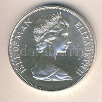 Man-sziget 1975. 25p Ag "Manx macska" T:BU