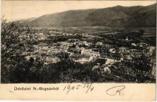 1905 Boksánbánya, Németbogsán, Deutsch-Bogsan, Bocsa Montana; látkép / general view (EK)