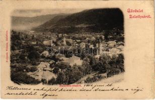 1902 Zalatna, Zlatna; látkép. Folberth Vilmos kiadása / general view (r)