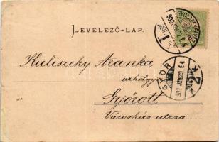 1902 Zalatna, Zlatna; látkép. Folberth Vilmos kiadása / general view (r)