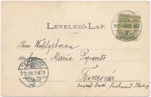 1902 Herkulesfürdő, Baile Herculane; Villanytelep / Elektrische Anlage / electric power plant (EK)