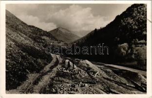 Borsafüred, Borsa; Radnai-havasok, Ünőkő / Muntii Rodnei, Varful Ineu / mountain peak (EK)