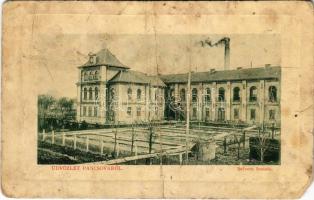 Pancsova, Pancevo; Selyemfonoda. W.L. Bp. 944. / silk spinning mill (b)