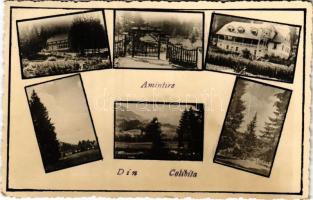 1942 Kolibica, Colibita; mozaiklap / multi-view postcard (EK)