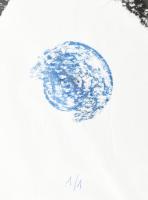 Ismeretlen francia művész: Madár, 1/1. Pasztell, papír, jelzéssel, 42x29,5 cm