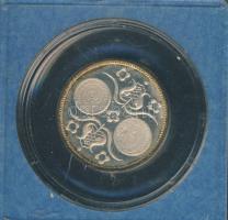 1980. "Naptár" Ag emlékérem 5,5g T:PP Eredeti plasztiktokban!