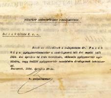 1912 Budapesti Tudományegyetem gyógyszerész diplomája, Beke Manó (1862-1946) bölcsészkari dékán, mat...