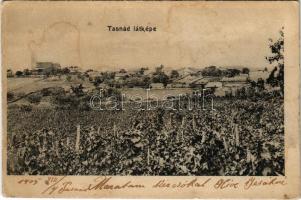 1905 Tasnád, szőlőhegy. Ábrahám Sándor kiadása / vineyards (EK)