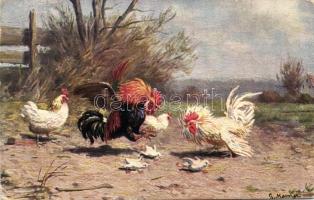 Fighting roosters s: G. Mesmer (EK)