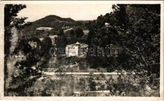 Csucsa, Ciucea; volt Ady kastély. Marosi József kiadása / castle (felszíni sérülés / surface damage)