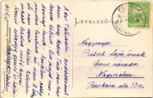 1915 Nagyszeben, Hermannstadt, Sibiu; Büffelherde im Wasser / bivalyúsztatás a vízben, erdélyi folkl...