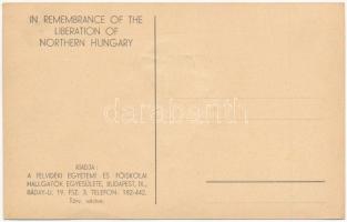 Komárom, Komárno; A Felvidék visszacsatolásának emlékére. Irredenta művészlap. Szeiler féle Patent d...
