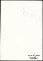 cca 1930-1940 Szendrő István (1908-2000): Budapest, régi Erzsébet híd, pecséttel jelzett fotó, felir...