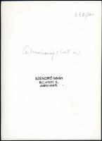cca 1930-1940 Szendrő István (1908-2000): Fiatal lány csíkmenasági népviseletben, pecséttel jelzett ...