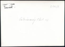 cca 1930-1940 Szendrő István (1908-2000): Fiatal párok csíkmenasági népviseletben, pecséttel jelzett...