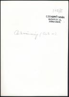 cca 1930-1940 Szendrő István (1908-2000): Fiatal pár csíkmenasági népviseletben, pecséttel jelzett f...