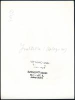 cca 1930-1940 Szendrő István (1908-2000): Párok inaktelki népviseletben, pecséttel jelzett fotó, fel...