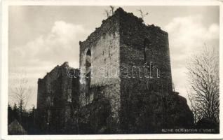 Ruine Bürgstein (b)