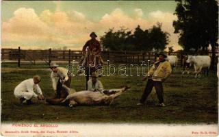 Poniendo el Argollo / Argentine folklore (kopott sarkak / worn corners)