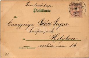 1899 (Vorläufer) Rembrandt-Postkarte No. 254. / Children art postcard with dogs (fl)