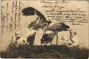 1902 Children with storks (EB)