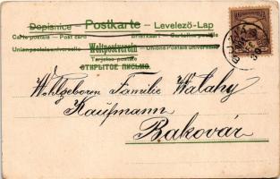 1901 Prosit Neujahr / New Year greeting art postcard with clover. litho (fa)