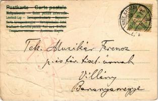 1903 Boldog Újévet / New Year greeting art postcard with pig, horseshoe and clovers. Emb. litho (fa)