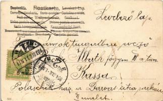 1904 Boldog Újévet / New Year greeting art postcard with pigs in rowing boats (EK)