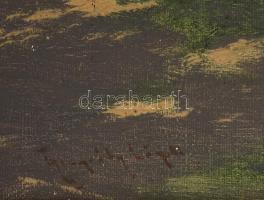 Neogrády László (1896-1962): Libapásztorlány. Olaj, vászon. Jelzett. Dekoratív, sérült fakeretben. 8...