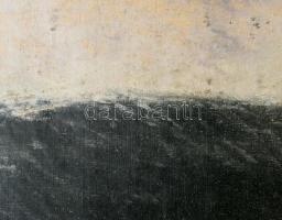 Falb jelzéssel (Falb Sándor?): Viharos tenger, 1927. Olaj, vászon. Dekoratív, korabeli fakeretben. 5...