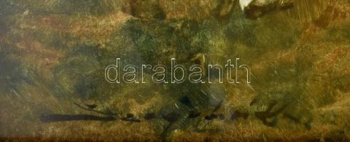 Szegvári Károly (1920-2002): Élet a tanyán. Olaj, farost, jelzett, üvegezett fakeretben. 60x80 cm