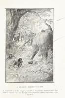 G. F. Scott Elliot: A primitív ember hajdan és most. Ford.: Schöpflin Aladár. Ismeretterjesztő Könyv...