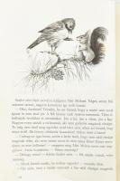 Tersánszky J. Jenő: Misi mókus kalandjai. Róna Emy rajzaival. Bp., 1958, Móra. Kiadói illusztrált fé...