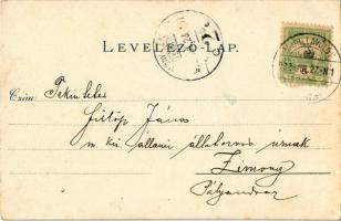 1902 Marilla, Marillavölgy, Marila; park. Gross Gyula kiadása / park, spa (EK)