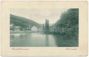 1913 Csiklovabánya, Csiklova, Csiklóbánya, Németcsiklova, Ciclova Montana (Oravica, Oravita); Kis tó részlet. W.L. Bp. 1207. / lake (EB)