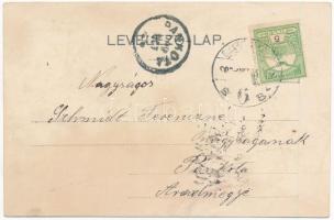 1909 Máriaradna, Mária-Radna, Radna (Lippa, Lipova); A török pasa / Ursprung. litho (r)