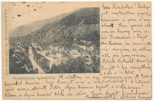 1900 Ruszkabánya, Rusca Montana; nyaralóhely. Fuchs fényképei után / holiday resort, spa (fl)