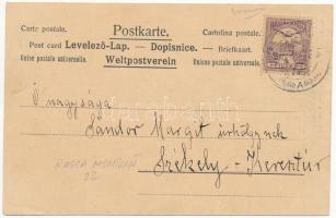 1900 Ruszkabánya, Rusca Montana; nyaralóhely. Fuchs fényképei után / holiday resort, spa (fl)