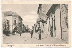 Petrozsény, Petrosani; Strada Regele Ferdinand cu Casa de Pastrare / utca / street view (EB)