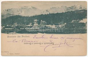 1904 Predeál, Predeal; látkép / general view (vágott / cut)