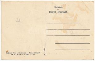 Menyházafürdő, Monyásza, Baile Moneasa; Salon de cura, Baia inotatoara, Vedere din parc, Vila Andrén...