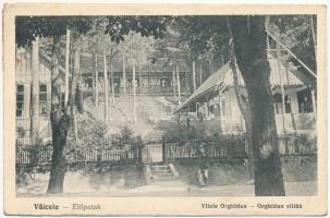 1924 Előpatak, Valcele; Vilele Orghidan / Orghidan villák / villas, spa (EK)