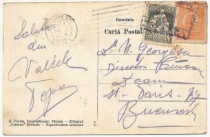 1924 Előpatak, Valcele; Vilele Orghidan / Orghidan villák / villas, spa (EK)